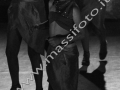 Bernardini Dance Accademy