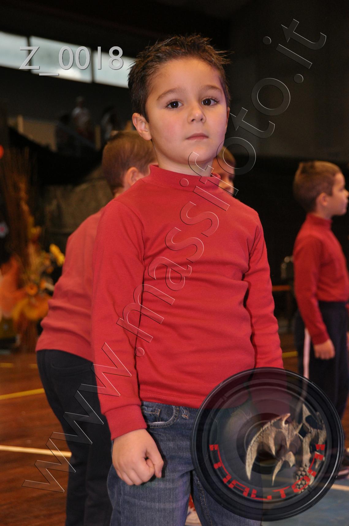Z_0018