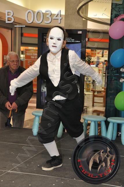 Conejo Blanco