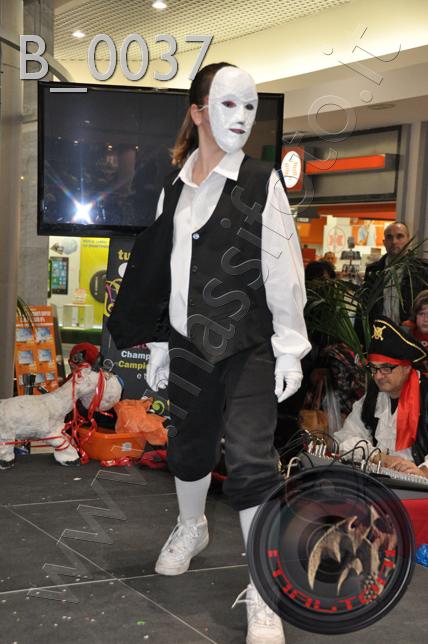 Conejo Blanco