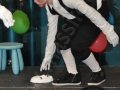 Conejo Blanco