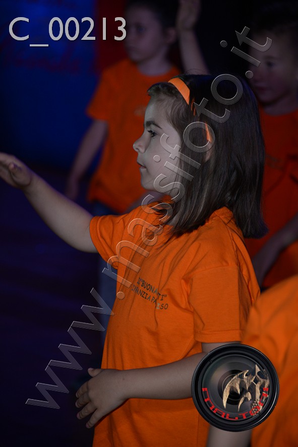 C_00213