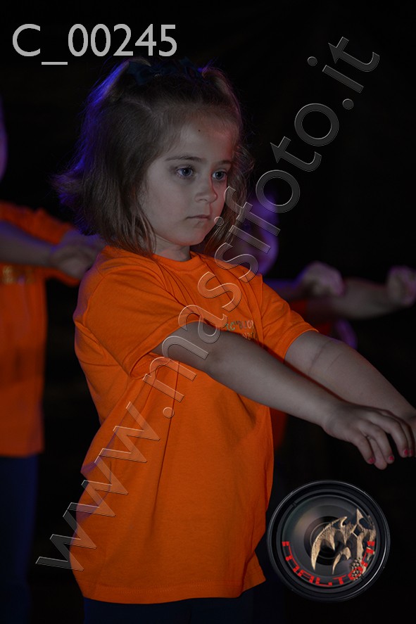 C_00245
