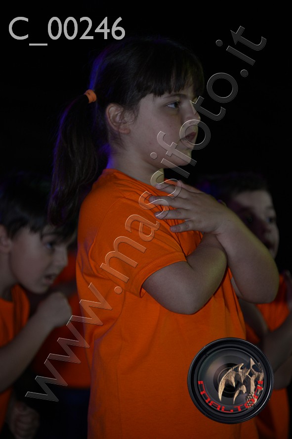 C_00246