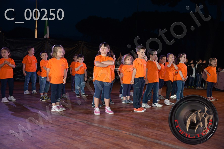 C_00250