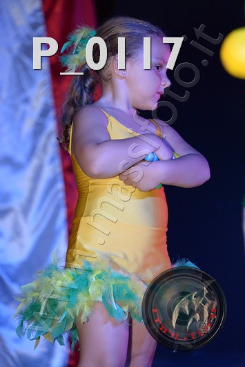 P_0117