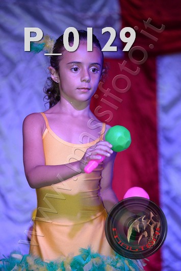 P_0129