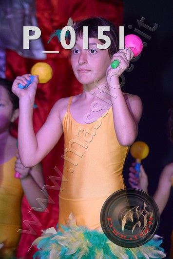 P_0151
