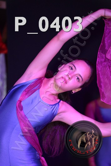 P_0403