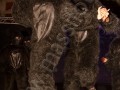 G_014