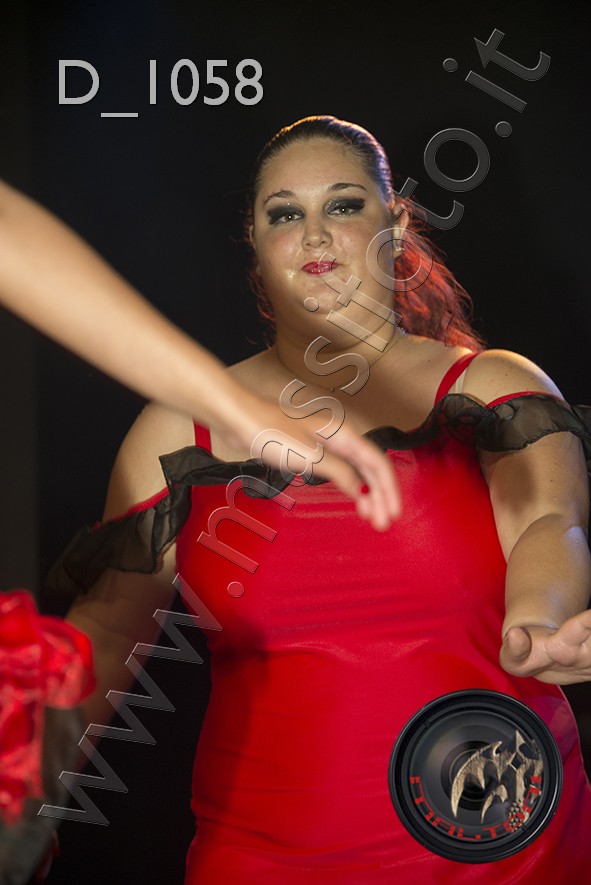 D_1058