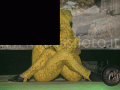 F_494