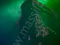 C_0313