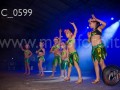 C_0599