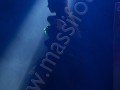 C_0902