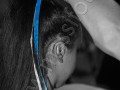 E_0046