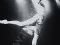 L_331