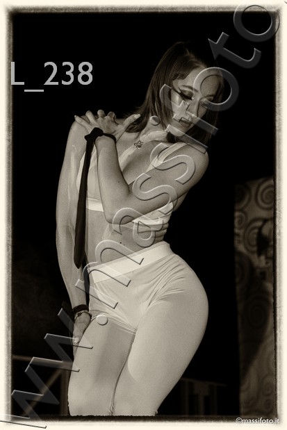L_238