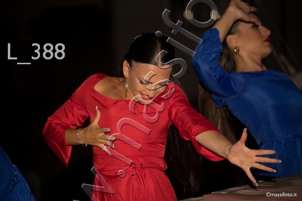 L_388