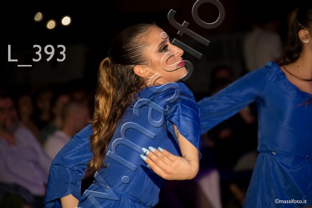 L_393