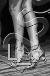 L_497