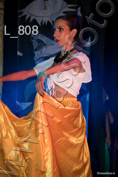 L_808