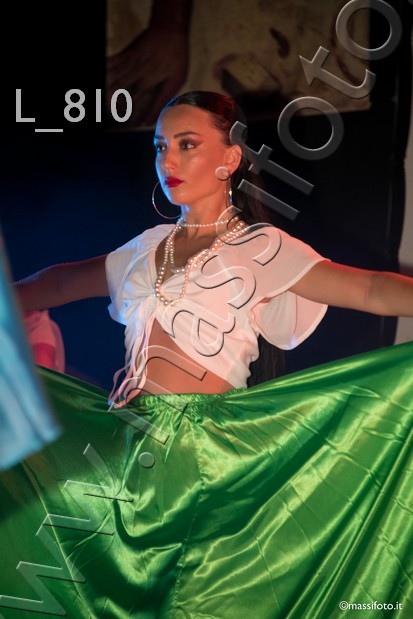 L_810