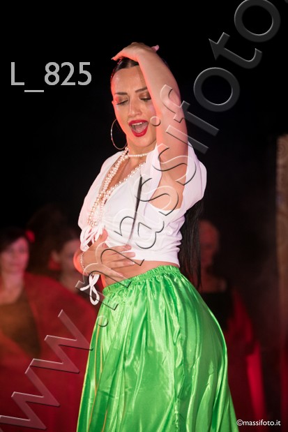L_825