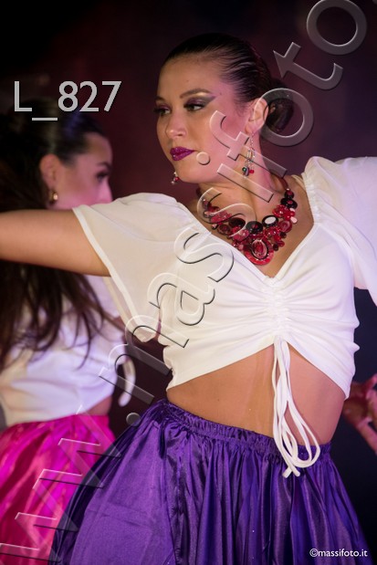 L_827