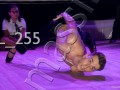 L_255