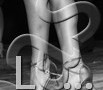L_497