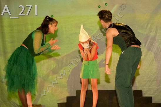 A_271